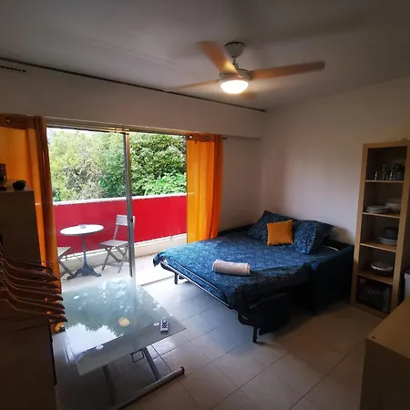 Cosy Studio,piscine,parc Fleuri,residence Standing,parking 公寓 昂蒂布